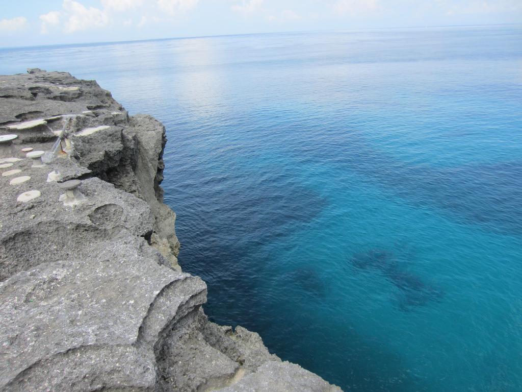 Naradas Mushroom Beach Nusa Lembongan  Bagian luar foto